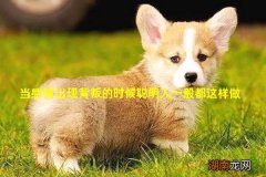 当感情出现背叛的时候聪明人一般都这样做