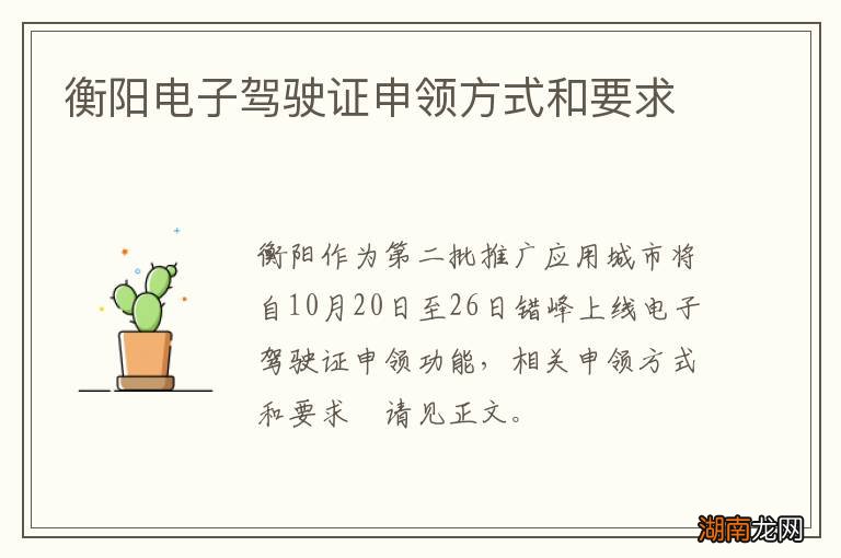 衡阳电子驾驶证申领方式和要求?