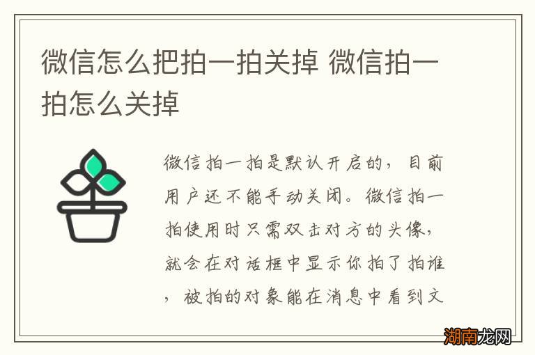 微信怎么把拍一拍关掉 微信拍一拍怎么关掉