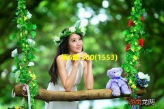 1553 第6章 500