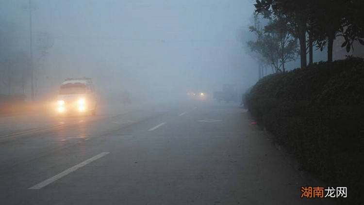 雾天行驶开什么灯