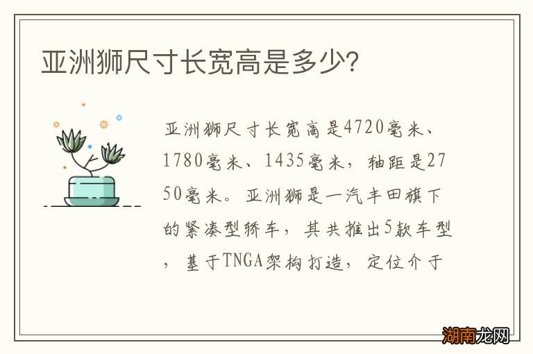 亚洲狮尺寸长宽高是多少？