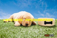 心理所发现精神症、抑郁症及双相障碍患者情感体验与动机行为的分离模式有所不同