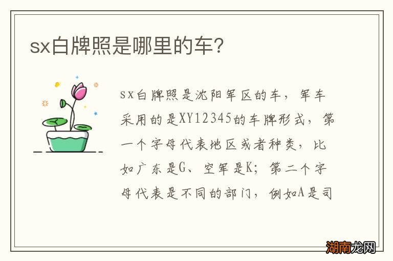 sx白牌照是哪里的车？