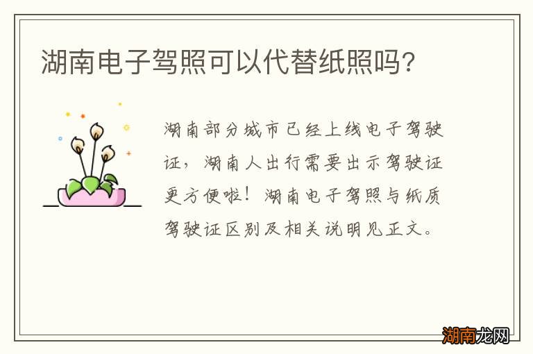 湖南电子驾照可以代替纸照吗?