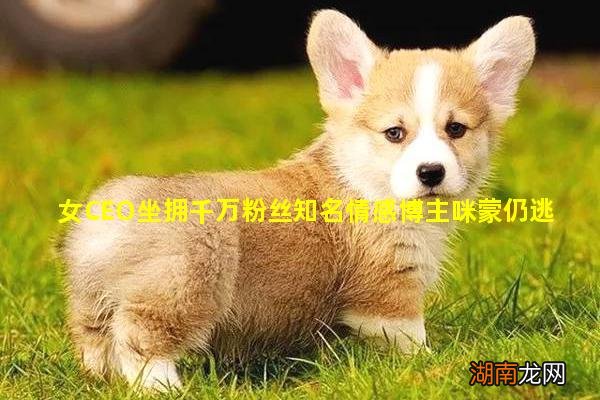 女CEO坐拥千万粉丝知名情感博主咪蒙仍逃不过离婚的命运!