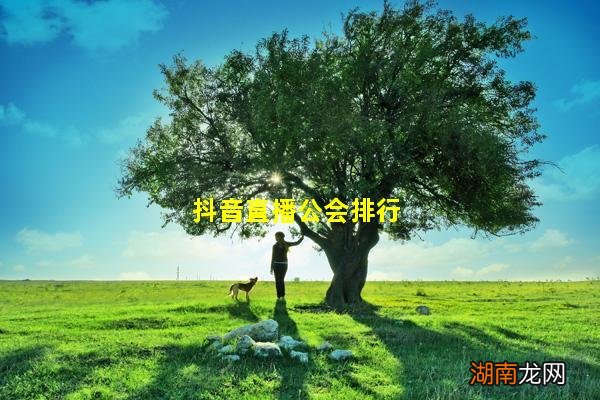 抖音直播公会排行