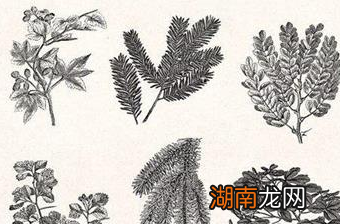 沈括的水利医学成就有哪些?详解其成就