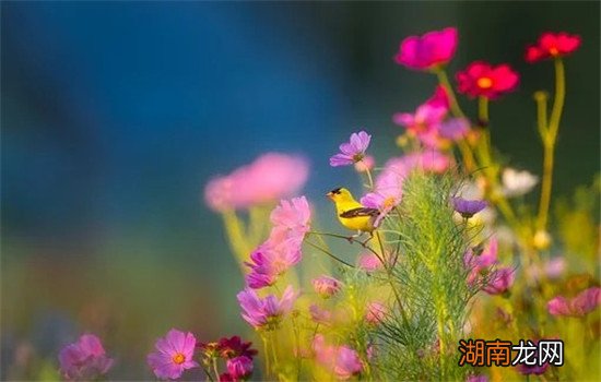 婚姻的挽回聊天技巧 挽回婚姻聊天技巧有这三种