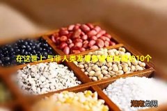 在这世上 与非人类发展感情和结婚的10个人类