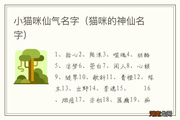 猫咪的神仙名字 小猫咪仙气名字