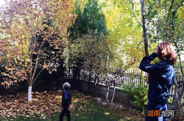 43岁殷桃在北京的豪宅，家中布满名贵花草和家具，价值超百万