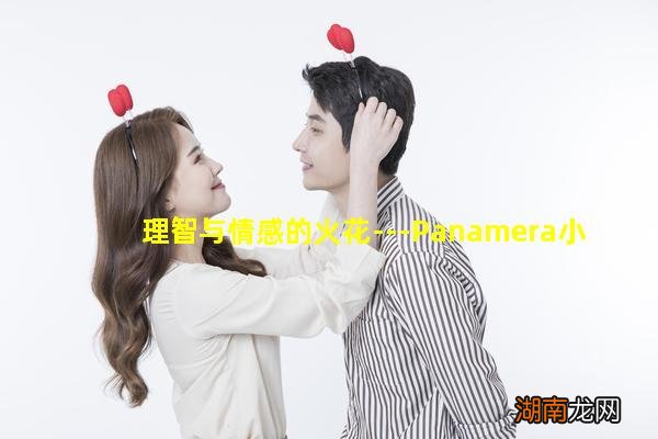 理智与情感的火花---Panamera小改分享