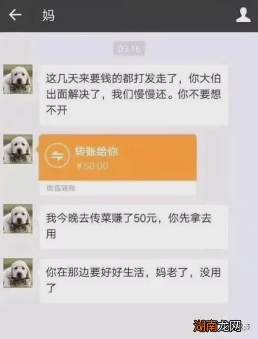 抗压背锅贴吧的“50万彩礼”事件玩弄了数百万网友的感情
