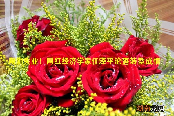 刚刚失业!网红经济学家任泽平沦落转型成情感博主!