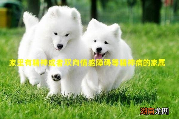 家里有精神或者双向情感障碍等精神病的家属生活过的怎么样?