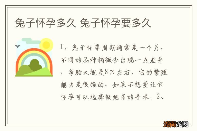 兔子怀孕多久 兔子怀孕要多久