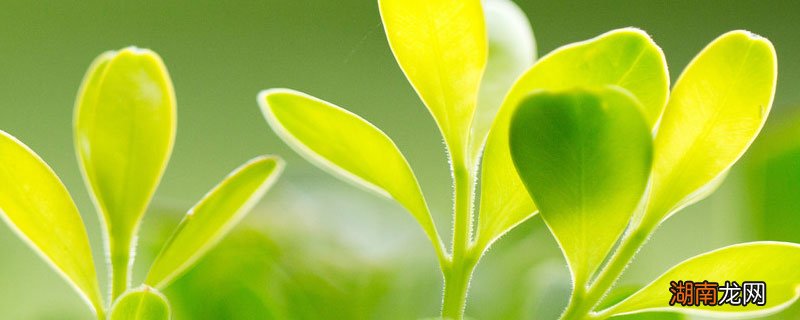 享受大自然的心情说说 享受大自然的心情说说有哪些