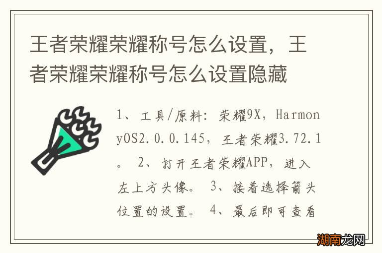 王者荣耀荣耀称号怎么设置,王者荣耀荣耀称号怎么设置隐藏