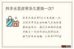 羚羊水泵皮带多久更换一次？