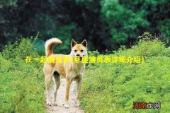 悬崖演员表详细介绍 在一起演员表