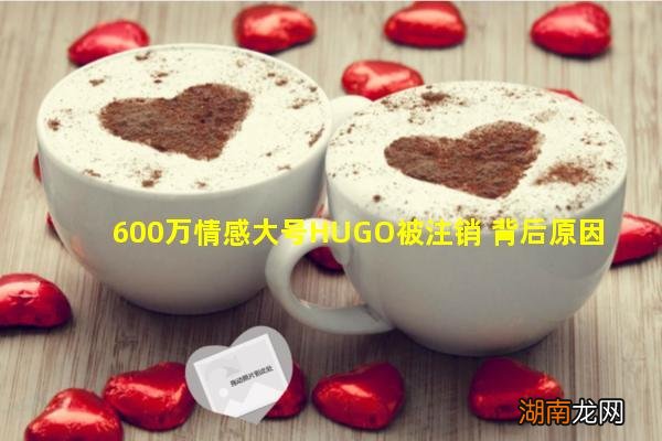 600万情感大号HUGO被注销 背后原因未知