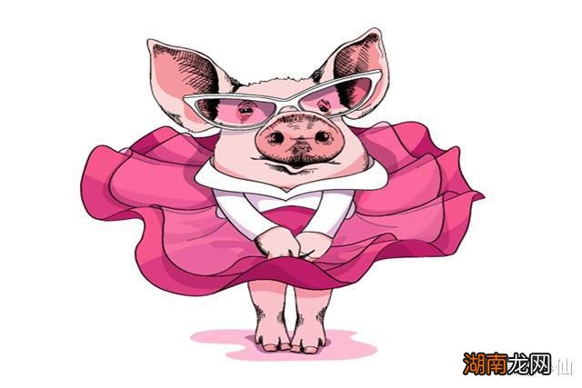 生肖猪2022年4月爱情运提示:不要冷处理主动达成共识