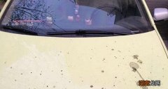 车漆上的黄点怎么去除