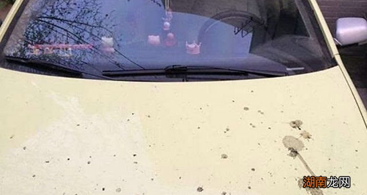 车漆上的黄点怎么去除