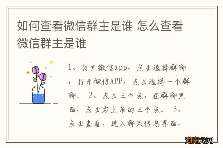 如何查看微信群主是谁 怎么查看微信群主是谁