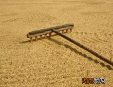 古代穷人一般吃什么？你可能想都想不到