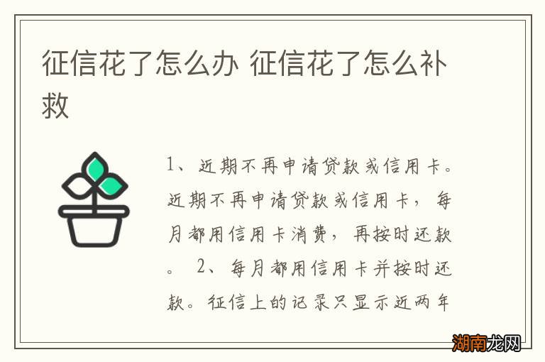 征信花了怎么办 征信花了怎么补救