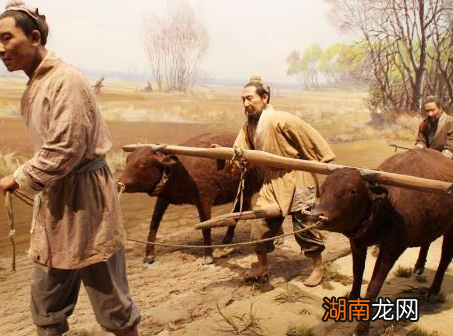 秦始皇死后14年秦朝就灭亡了 秦朝真的是亡于暴政吗