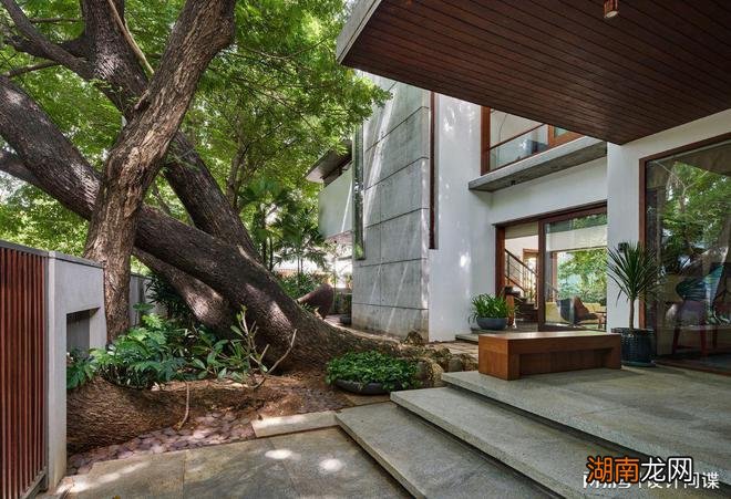 别墅设计:这样环抱大树,守着鱼池的别墅,风水不好才怪吧