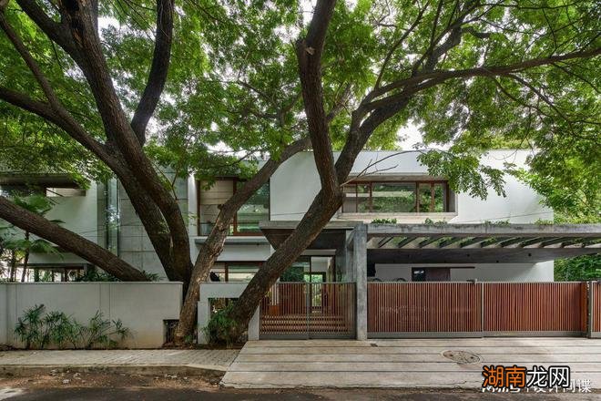 别墅设计:这样环抱大树,守着鱼池的别墅,风水不好才怪吧