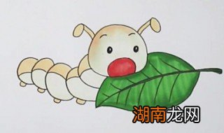 蚕怎么画 蚕宝宝简笔画教程