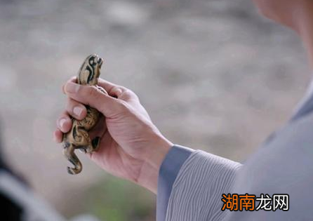 古代边疆将军手握重兵又远离朝堂 造反的人为何那么少