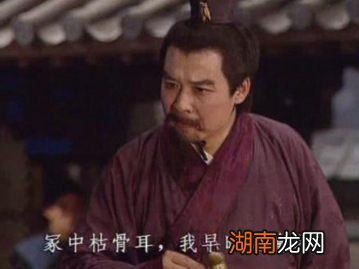 刘备与曹操煮酒论英雄时，喝的是什么酒？