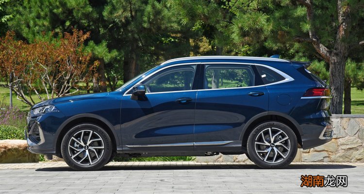 非插电式混动能上绿牌吗