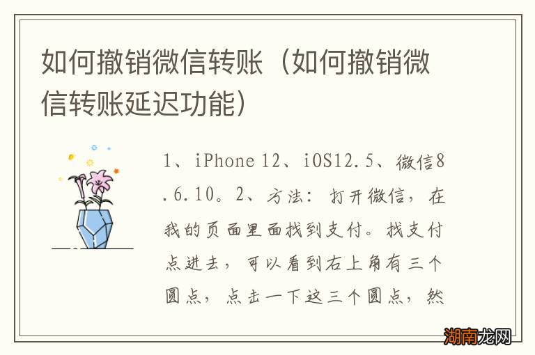 如何撤销微信转账延迟功能 如何撤销微信转账