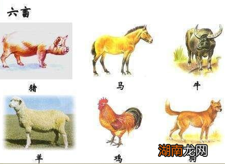 文景之治后人们的生活水平富裕起来了 当时的人们能吃到什么美食