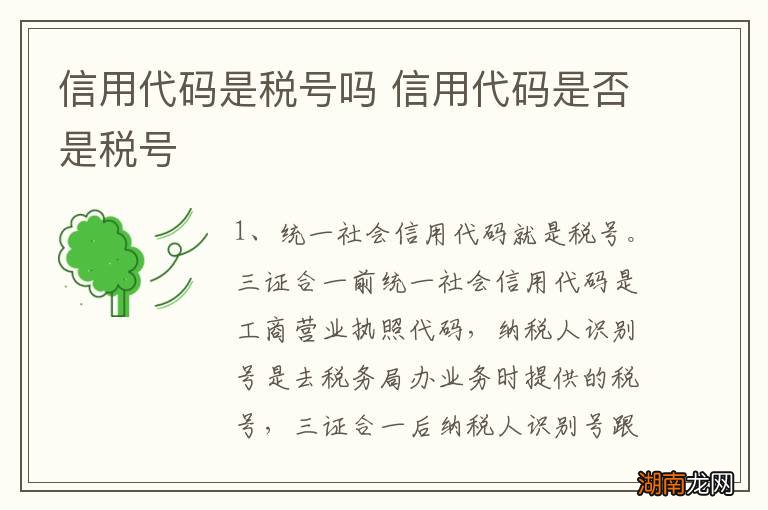 信用代码是税号吗 信用代码是否是税号