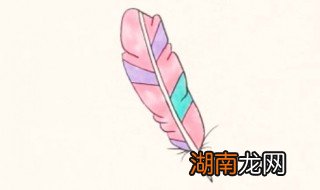 羽毛怎么画 羽毛简笔画教程