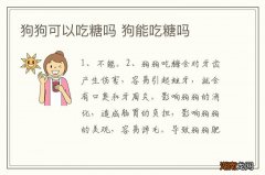 狗狗可以吃糖吗 狗能吃糖吗