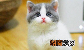 蓝白是怎么配出来的 蓝白是如何配出来的