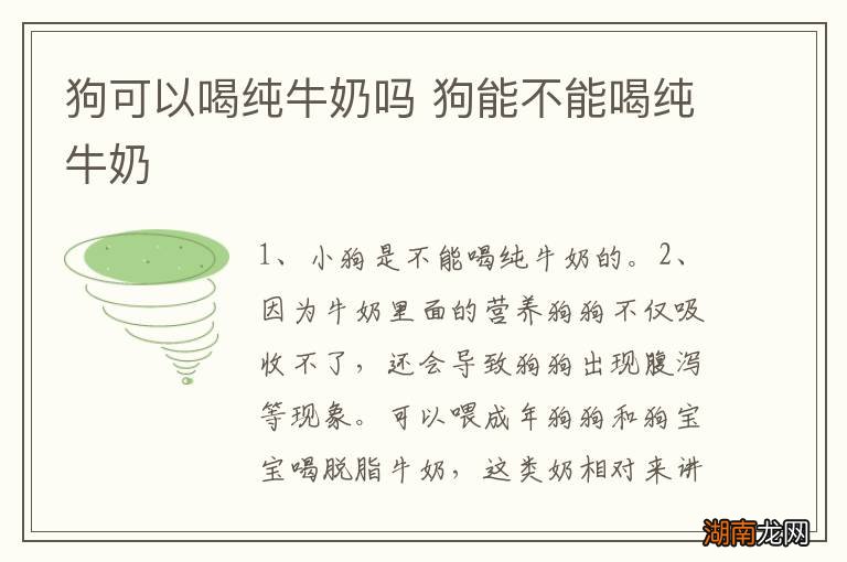 狗可以喝纯牛奶吗 狗能不能喝纯牛奶