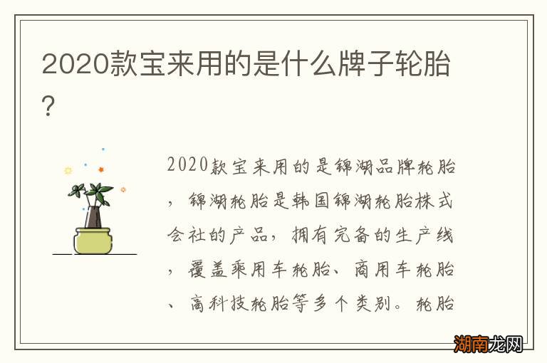 2020款宝来用的是什么牌子轮胎?