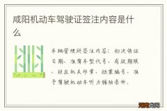 咸阳机动车驾驶证签注内容是什么