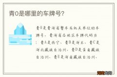 青0是哪里的车牌号？