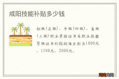 咸阳技能补贴多少钱